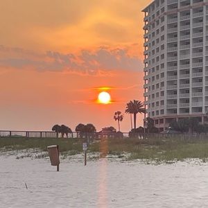 Meet your Posher, Annalynn